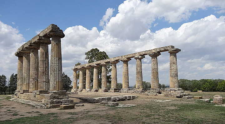 metapontum