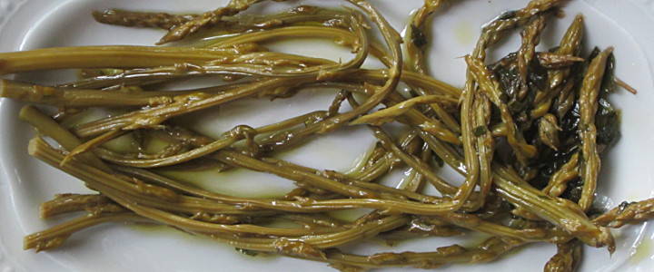 wildspargel