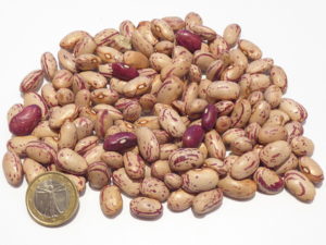 borlotti-bohnen