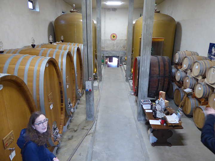 chianti losi