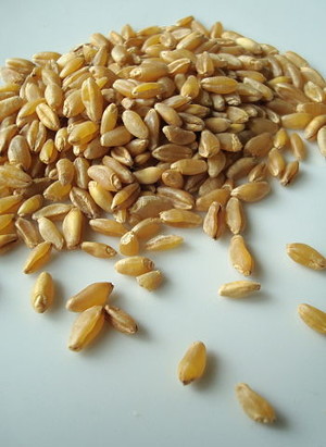 weizenmehl