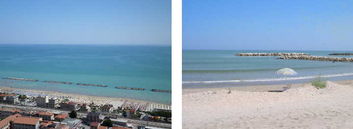 Mare