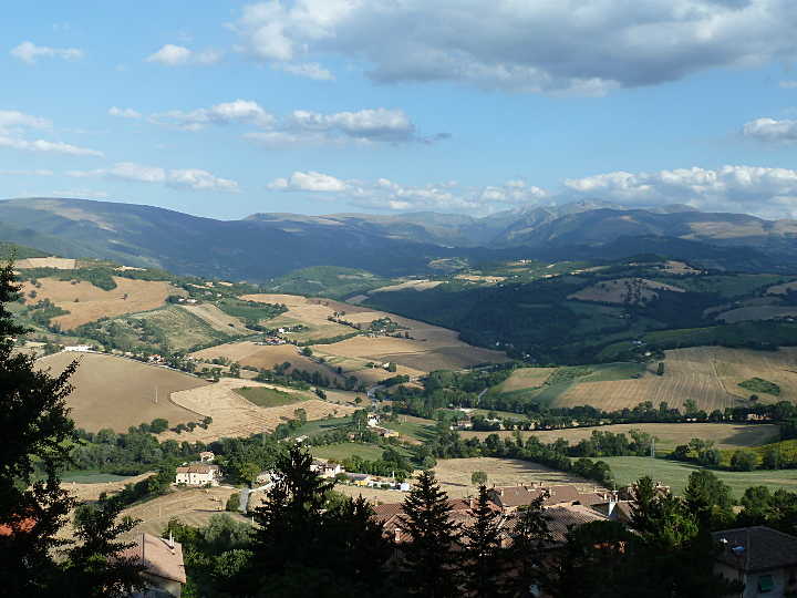 Matelica