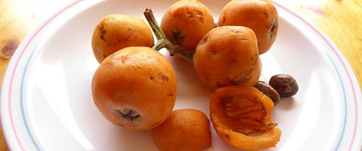 mispeln