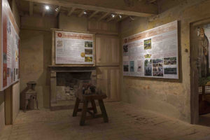 Ausstellungssaal zu Schweinefutter und -rassen   -   © Museum (E. Fornaciari)