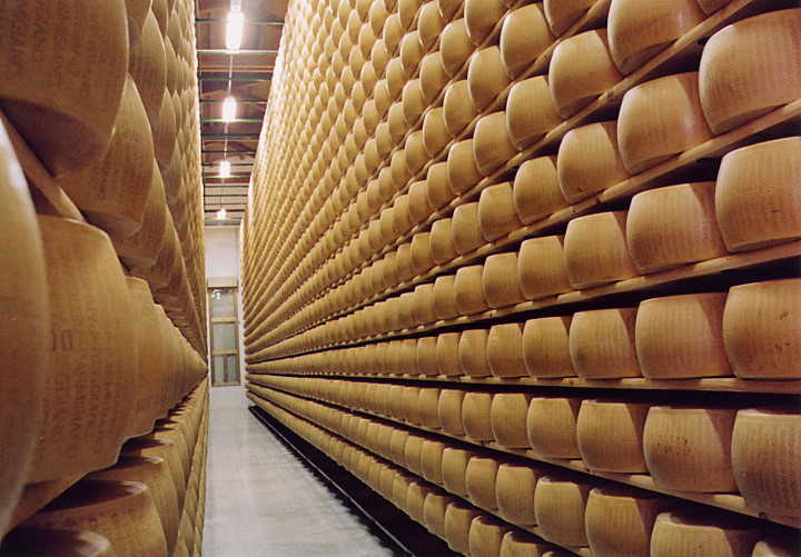 parmesan