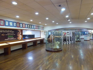Ausstellungssaal