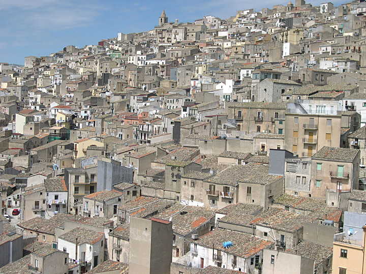 prizzi