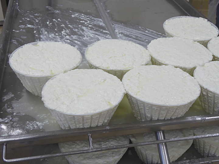Ricotta