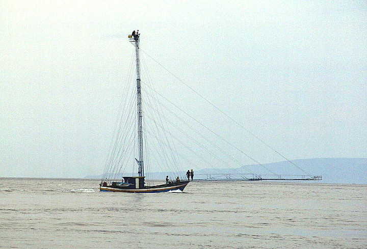 schwertfischjagd