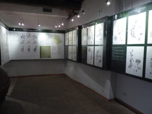 Ausstellungssaal