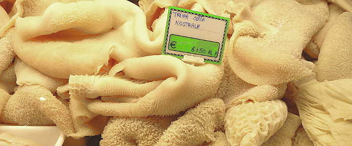Trippa – Kutteln trippa
