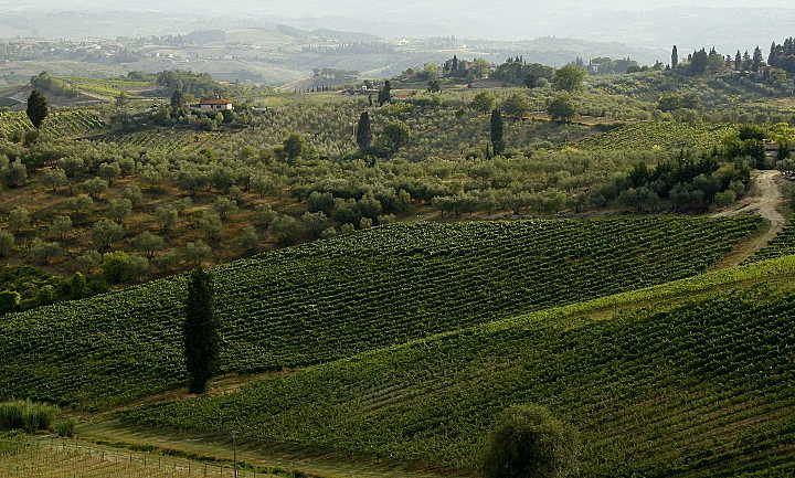 italienische weine